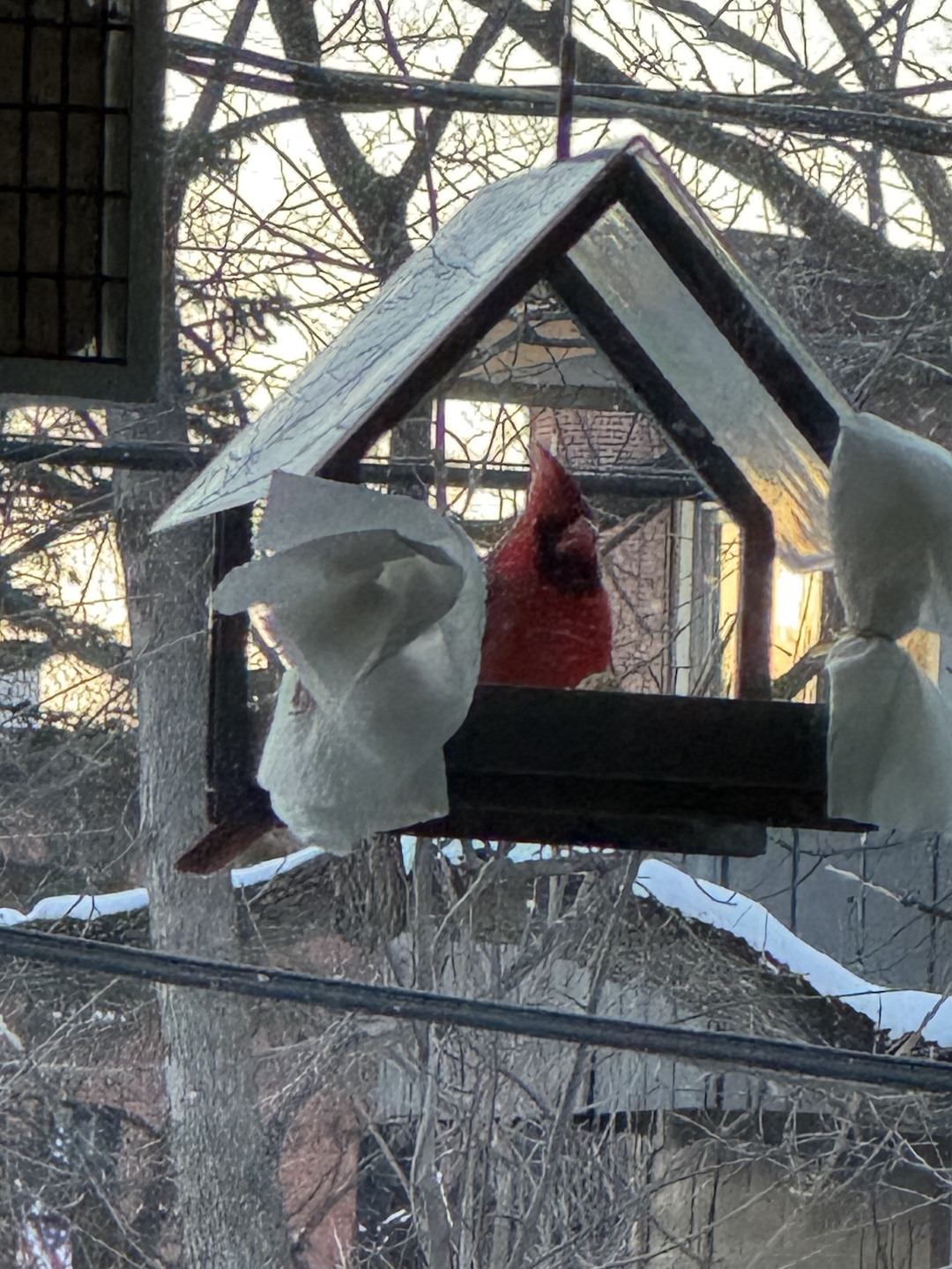 A red Northern Cardinal sits in a hanging roofed bird feeder.