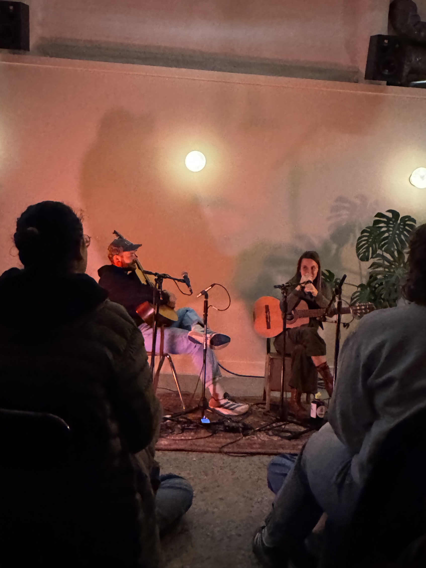 Two musicians singing and playing guitar at a small show inside a cafe.