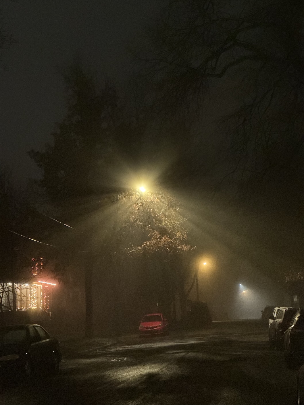 A foggy Ann Arbor neighborhood street at night; street lights beam through the tree branches.