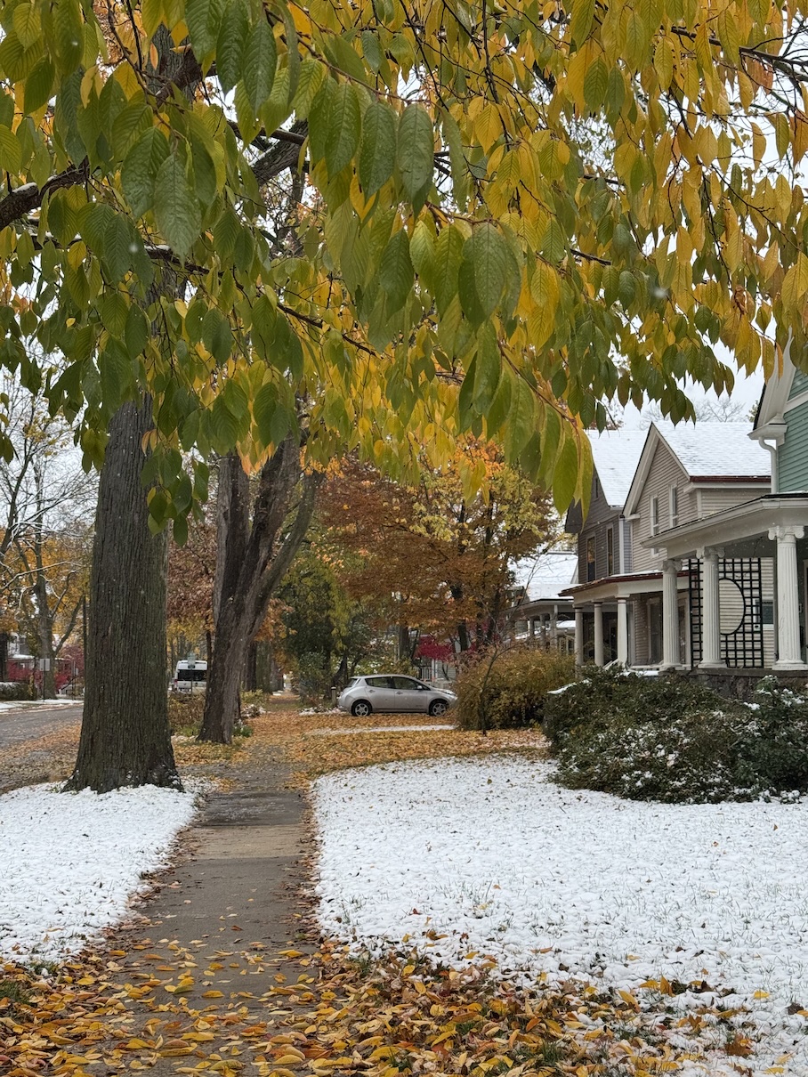 A photo of a neighborhood street; there is snow on the ground and green/yellow leaves still on the trees.